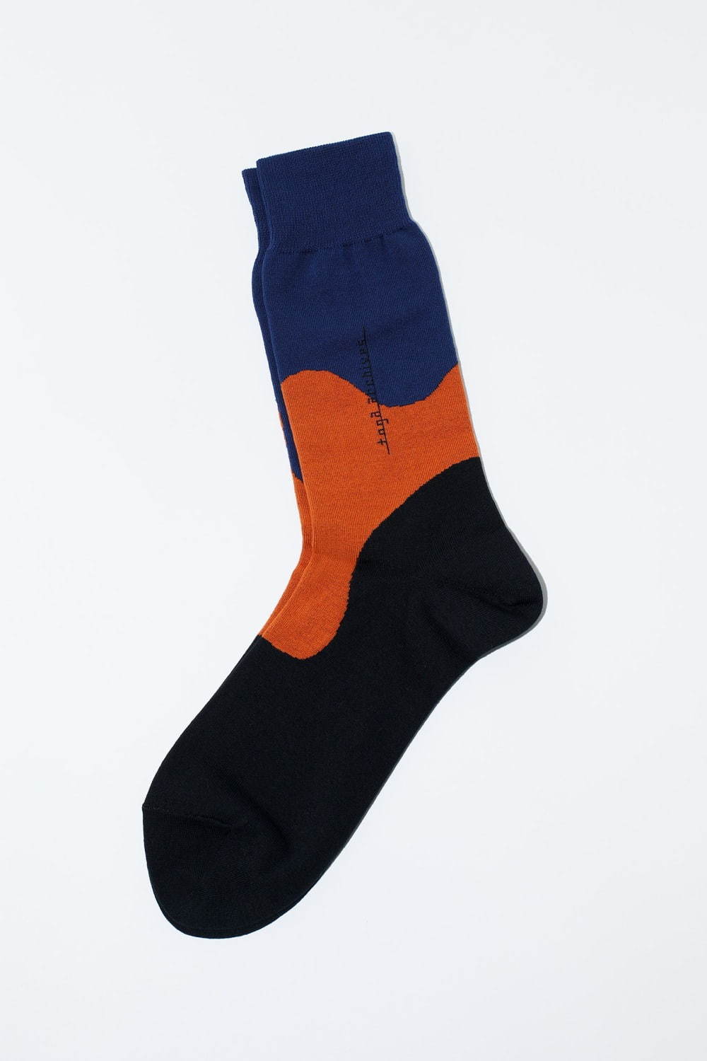 トーガ×タビオの靴下 - “東賀”の文字デザインやシアー素材ソックス、メンズ＆ウィメンズで｜写真7