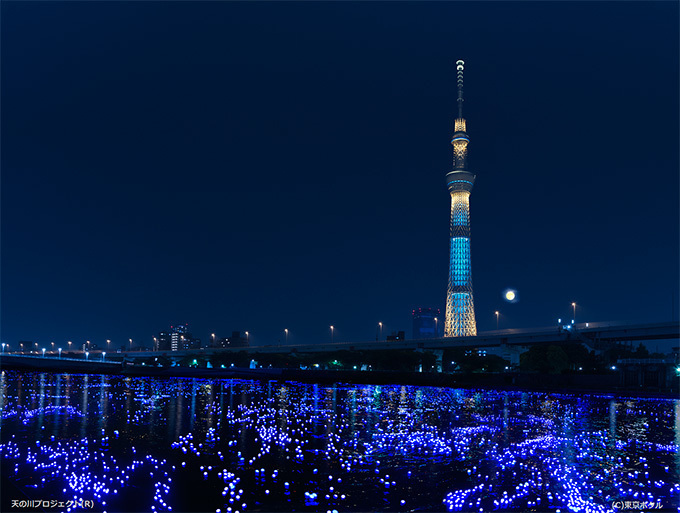夜の隅田川に煌めく、10万の光のシンフォニー「東京ホタル」5月25日に開催 | 写真