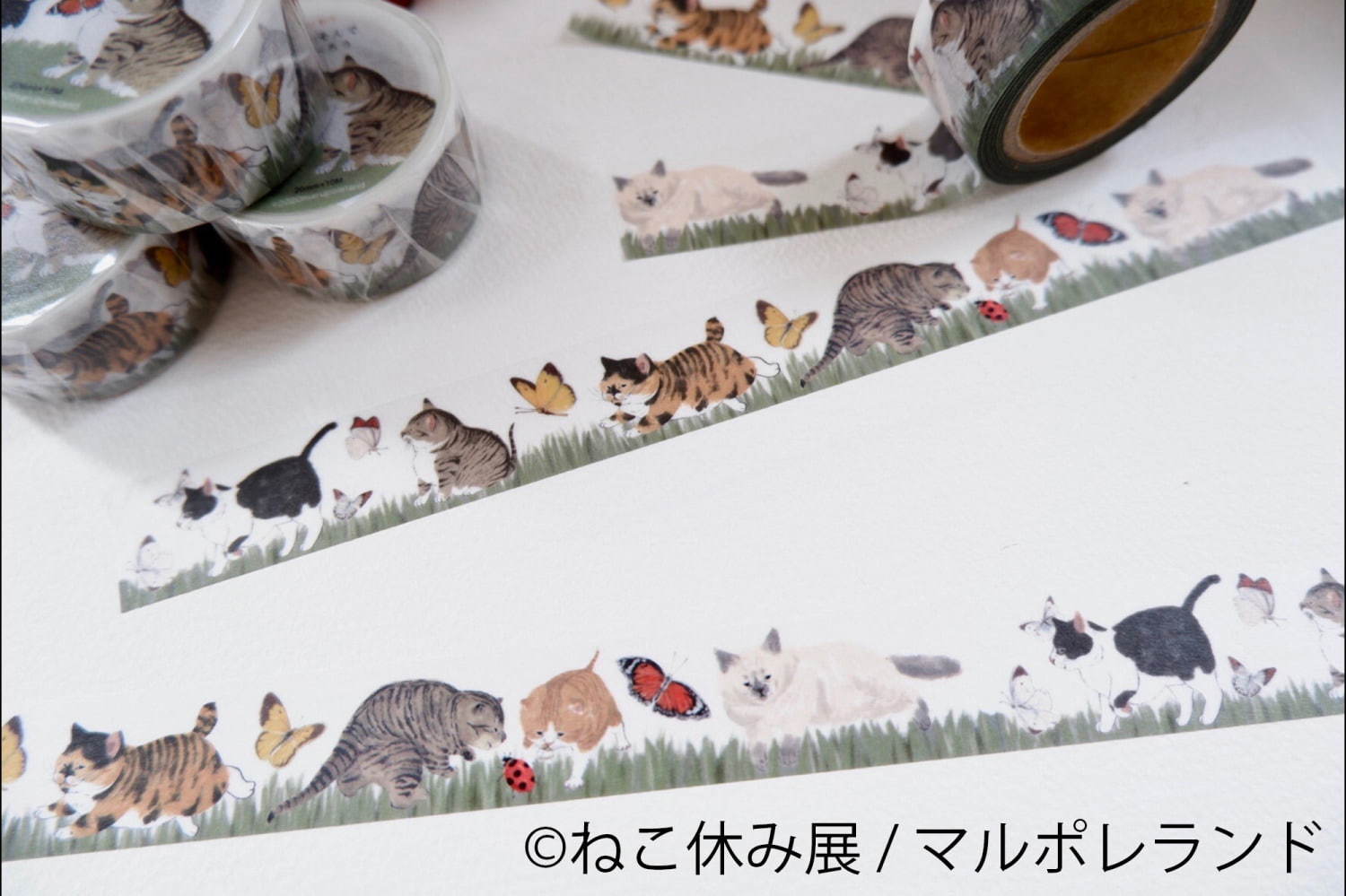 猫の合同写真＆物販展「ねこ休み展」が東京・浅草橋で、"スター猫"の未公開作品展示や限定グッズ｜写真27