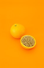 ベルリンのアーティスト サラ・イレンベルガー、渋谷で日本初の展覧会-果物や野菜でユーモラスな作品｜写真10