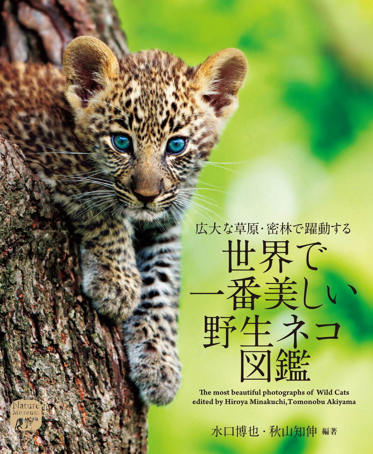 写真集 世界で一番美しい野生ネコ図鑑 ライオンやヒョウなど猛々しくも愛らしい 野生ネコ を特集 ファッションプレス 写真集 世界で一番美しい野生ネコ図鑑 ライオンやヒョウなど猛々しくも愛らしい 野生ネコ を特集 ファッションプレス