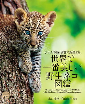 写真集 世界で一番美しい野生ネコ図鑑 ライオンやヒョウなど猛々しくも愛らしい 野生ネコ を特集 ファッションプレス