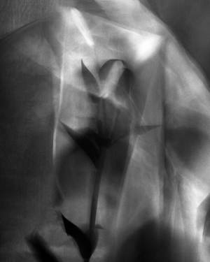 シノナグモ(Shinonagumo) 2021年春夏ウィメンズコレクション  - 写真11