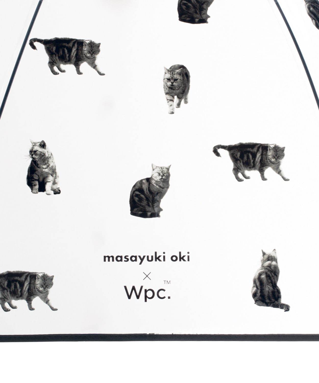 Wpc.×猫写真家・沖昌之の“ねこ柄”ビニール傘、茶トラ猫や“ぶさかわ”猫が一面に｜写真13