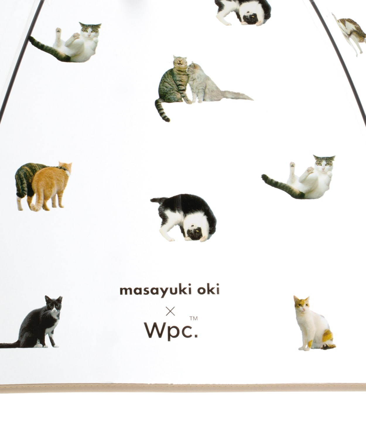 Wpc.×猫写真家・沖昌之の“ねこ柄”ビニール傘、茶トラ猫や“ぶさかわ”猫が一面に｜写真11