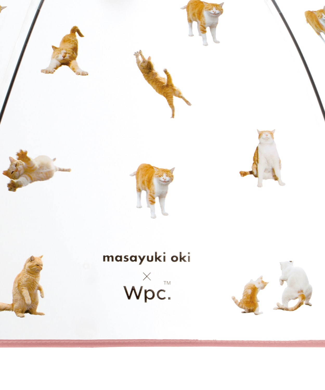 Wpc.×猫写真家・沖昌之の“ねこ柄”ビニール傘、茶トラ猫や“ぶさかわ”猫が一面に｜写真15