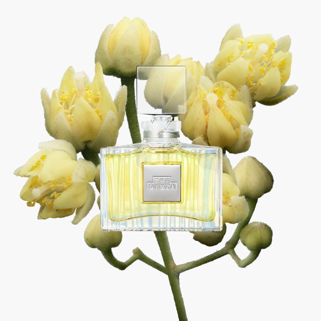 ザ・ギンザの日本限定フレグランス、銀座に咲き誇る"菩提樹の花"の香り×オーロラ仕上げのボトル｜写真1