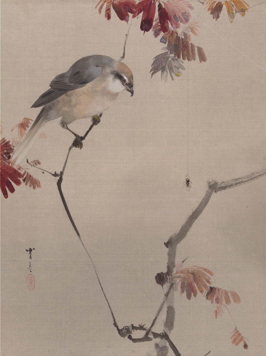 渡辺省亭《百舌鳥に蜘蛛図(花鳥魚鰕画冊)》絹本着色 一面(全二十一面のうち) メトロポリタン美術館
