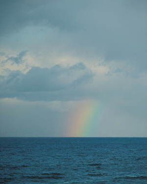 ナナミカ(nanamica) 2021年春夏メンズコレクション  - 写真1