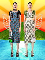 パメオポーズ(PAMEO POSE) タロットカード｜写真15