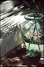 フィーニー2021年春夏コレクション、“快適”を纏う｜写真13