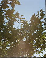 フィーニー2021年春夏コレクション、“快適”を纏う｜写真18