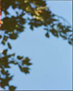 フィーニー2021年春夏コレクション、“快適”を纏う｜写真37