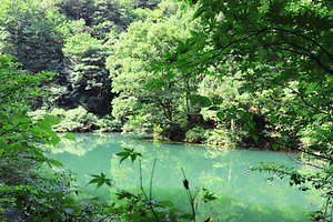 ヤシキ(YASHIKI) 2021年春夏ウィメンズ&メンズコレクション  - 写真44