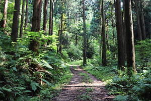 ヤシキ(YASHIKI) 2021年春夏ウィメンズ&メンズコレクション  - 写真45