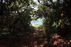 ヤシキ(YASHIKI) 2021年春夏ウィメンズ&メンズコレクション  - 写真48