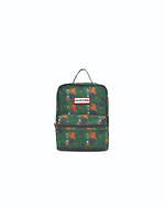 ハンター(HUNTER) ピーターラビット｜写真3