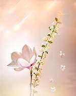 ルイ・ヴィトン(LOUIS VUITTON) エトワール フィラント｜写真2