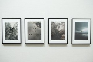 【限定250部サイン入り写真集】デヴィット・シルヴィアン　展示会写真集