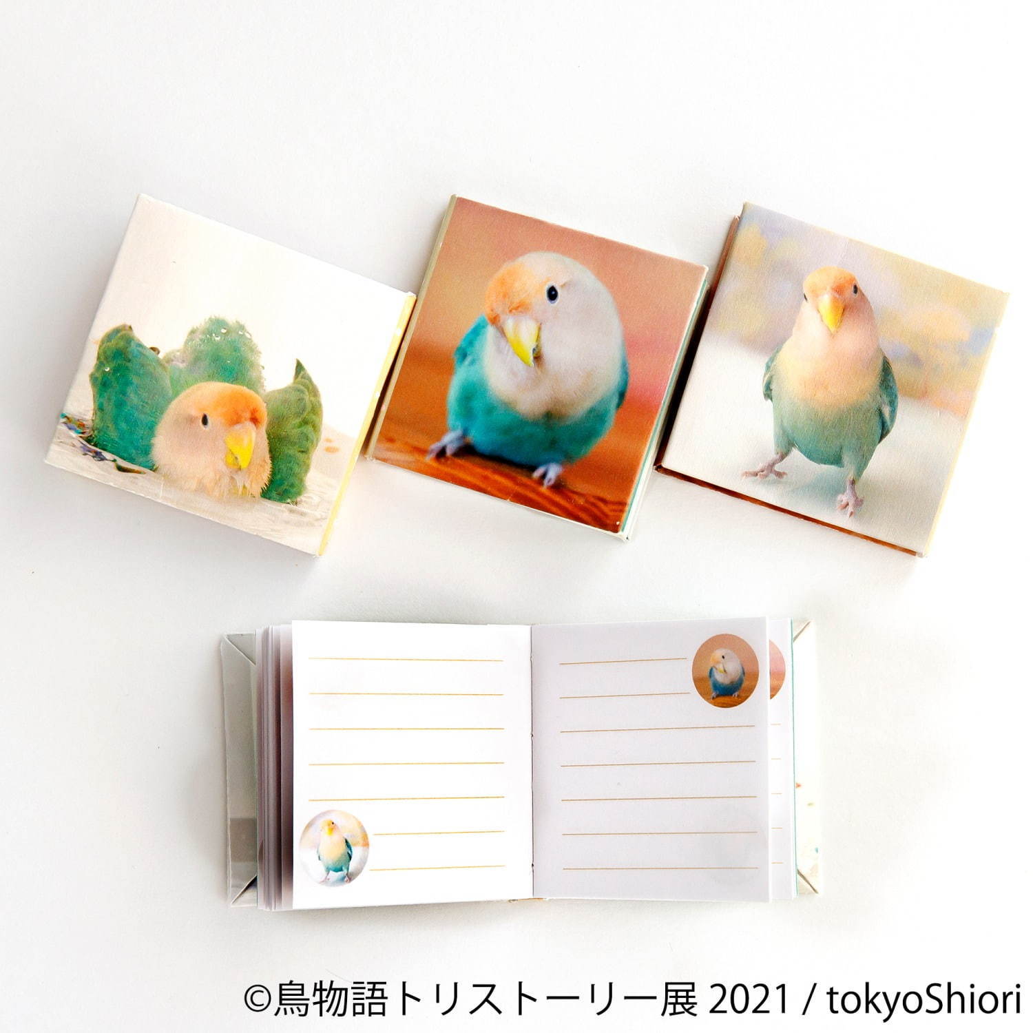「⿃物語トリストーリー展」東京＆名古屋で“幻の鳥”やインコの美しい写真、人気クリエイターのグッズも｜写真13