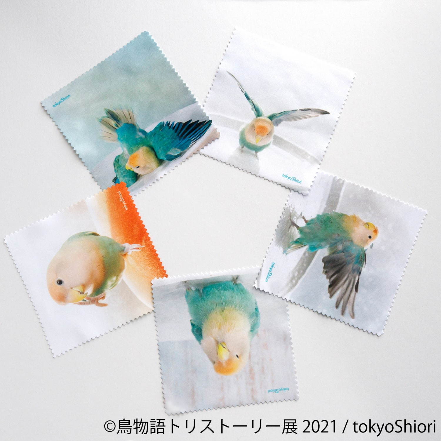 「⿃物語トリストーリー展」東京＆名古屋で“幻の鳥”やインコの美しい写真、人気クリエイターのグッズも｜写真14