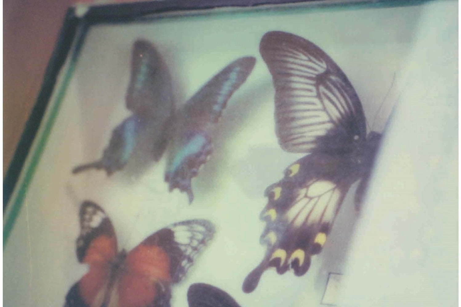 ポラロイド｜蜷川実花ポラロイド写真展「escape」新宿で、マーブルデニッシュ専門店グランマーブルとコラボも