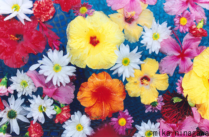 【写真展】蜷川実花、鮮やかな色彩でハワイの「パラダイス」を表現！吉川ひなのとのトークショーも | 写真