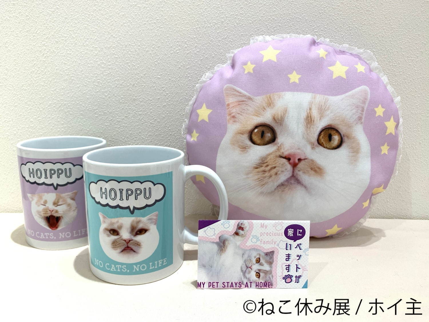 猫の合同写真展「ねこ休み展」浦和パルコで、“ほんわか癒し系”猫写真を展示＆限定グッズ販売も｜写真15