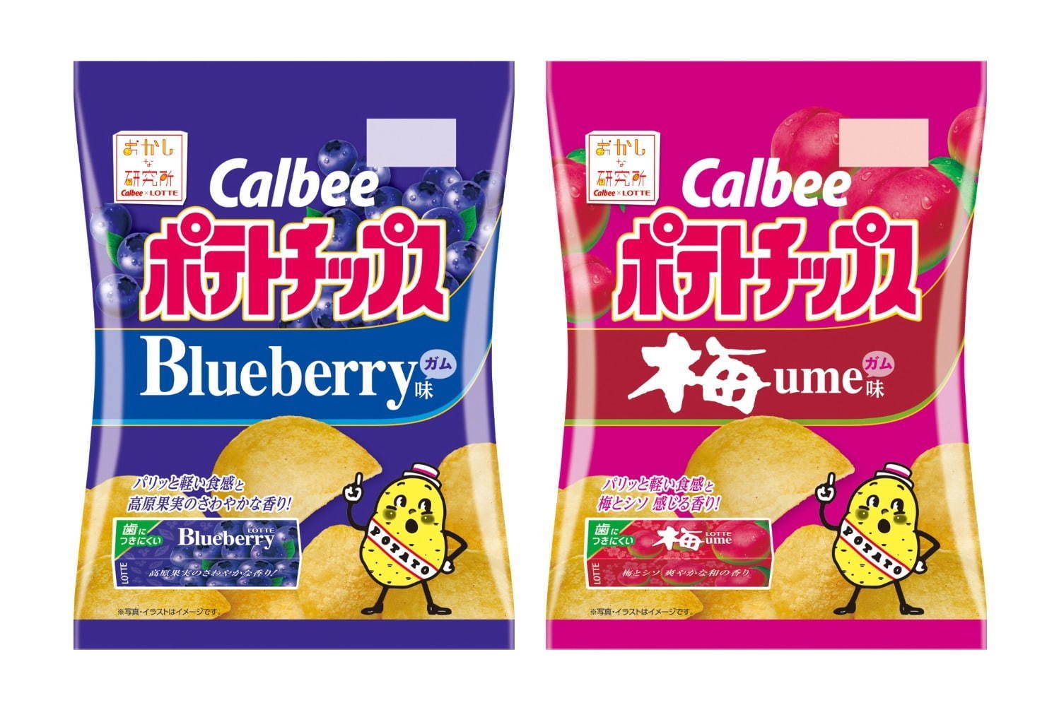 ロッテの人気 ブルーべリー 梅ガム がポテトチップスに 懐かしの味わいを サクサク食感 で ファッションプレス