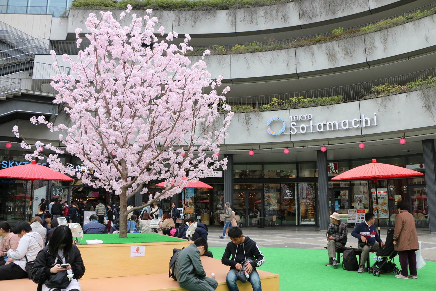 東京ソラマチの桜スイーツ、“桜色”パフェ＆パンケーキほかフィナンシェや桜餅などお土産スイーツも｜写真13