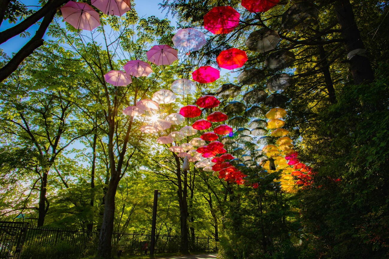 ムーミンバレーパーク“約1,200本”のカラフルな傘が広がるイベント「ムーミン谷とアンブレラ」｜写真6