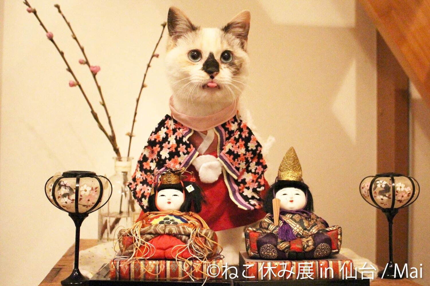 「ねこ休み展」仙台で初開催 - 猫クリエイターの合同写真展＆物販、愛らしい猫のハンドメイドグッズも｜写真4