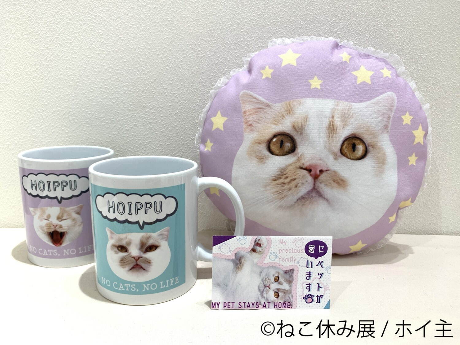 「ねこ休み展」仙台で初開催 - 猫クリエイターの合同写真展＆物販、愛らしい猫のハンドメイドグッズも｜写真24