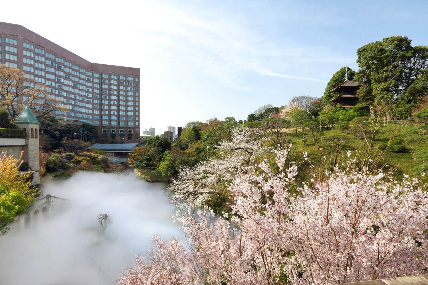 ホテル椿山荘東京の桜スイーツ、紅茶と共に霧で包まれる幻想的な庭園を眺めながら｜写真1