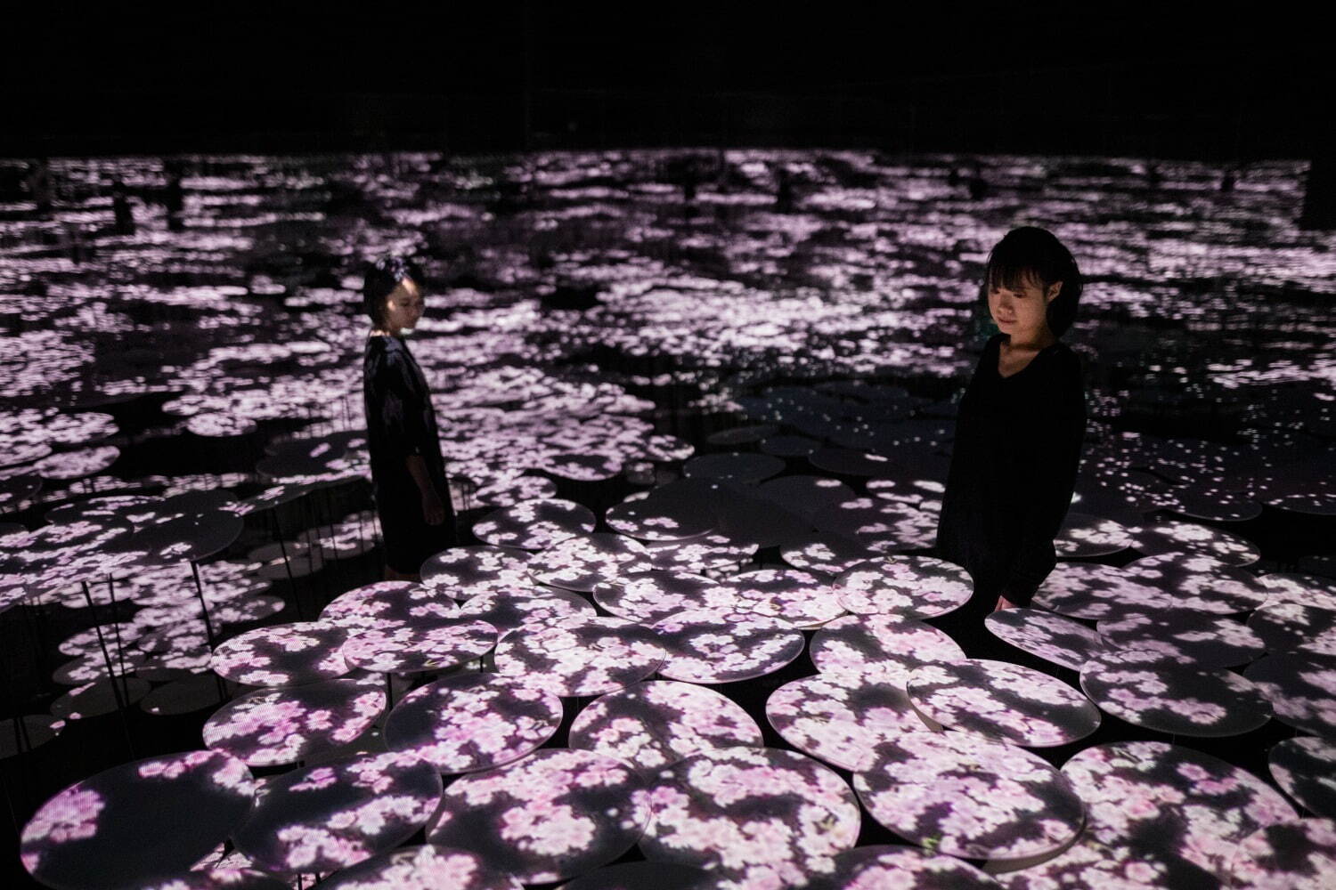 地形の記憶 / Memory of Topography teamLab, 2018, Interactive Digital Installation, Sound: Hideaki Takahashi