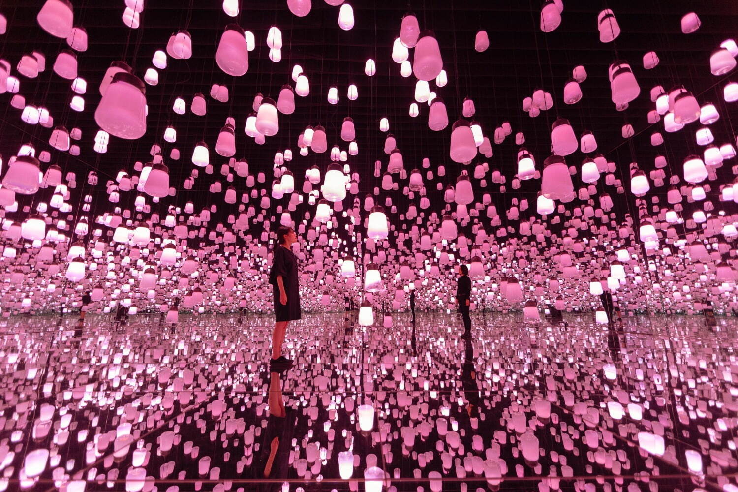 呼応するランプの森 - ワンストローク、桜 / Forest of Resonating Lamps - One Stroke, Cherry Blossoms teamLab, 2019, Interactive Installation, Murano Glass, LED, Endless, Sound: Hideaki Takahashi