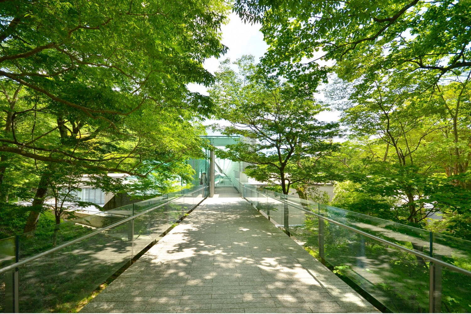 箱根のおすすめ美術館情報 - 展覧会の開催スケジュール＆展示アート作品も