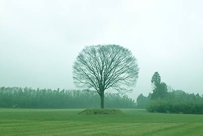 「一番星ヴィレッジ」