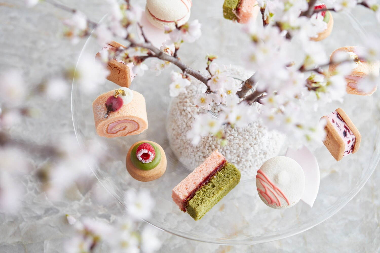 フォーシーズンズホテル京都から春限定“さくら香る”アフタヌーンティー、桜クッキーなどのスイーツも｜写真1