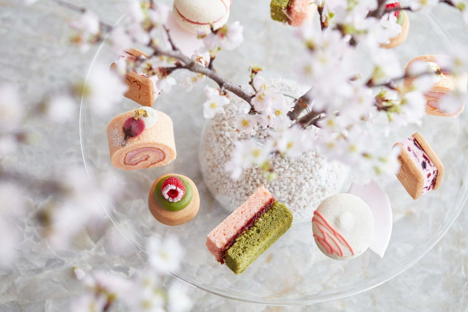 お花見｜フォーシーズンズホテル京都から春限定“さくら香る”アフタヌーンティー、桜クッキーなどのスイーツも