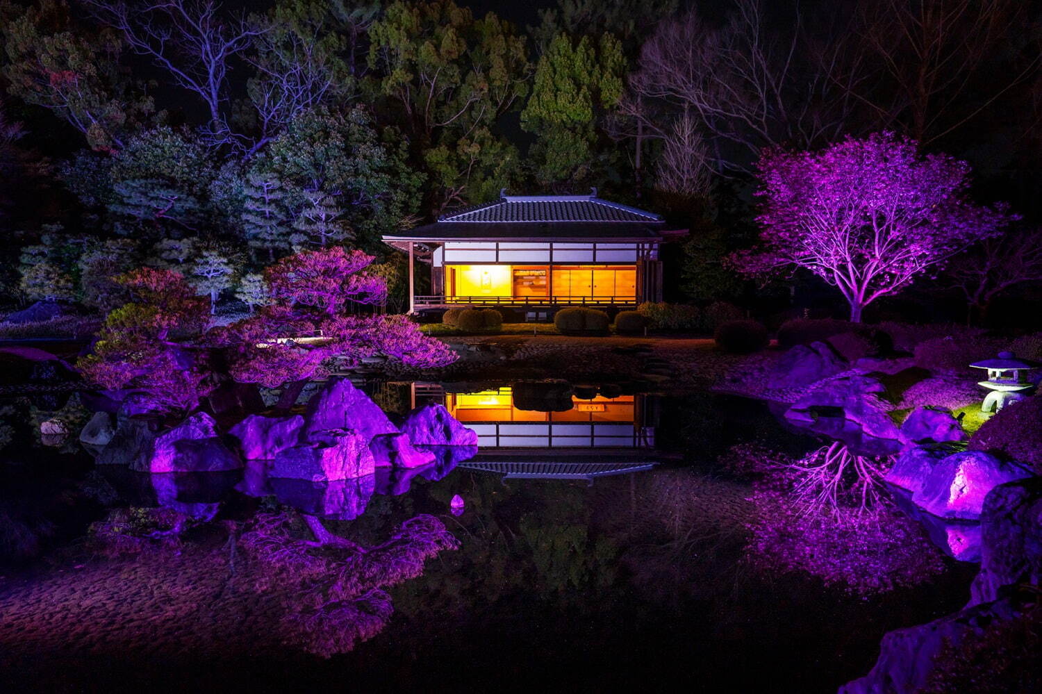 花の体感型アート展「ネイキッド フラワーズ」京都・二条城で、夜桜×アートのプロジェクションマッピング｜写真1