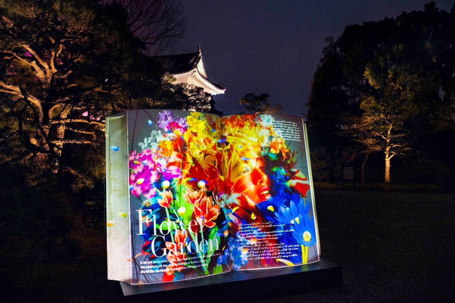 花の体感型アート展「ネイキッド フラワーズ」京都・二条城で、夜桜×アートのプロジェクションマッピング｜写真3