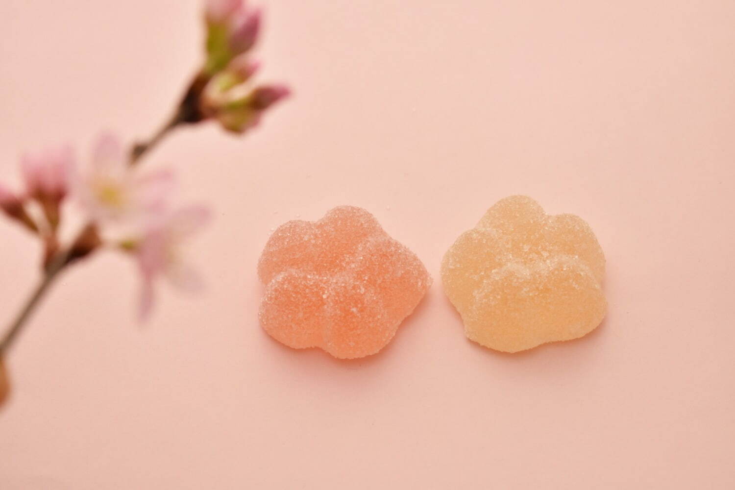 パパブブレのさくらキャンディミックス“満開のサクラ＆葉桜”柄、さくらミルクや紅茶味で | 写真