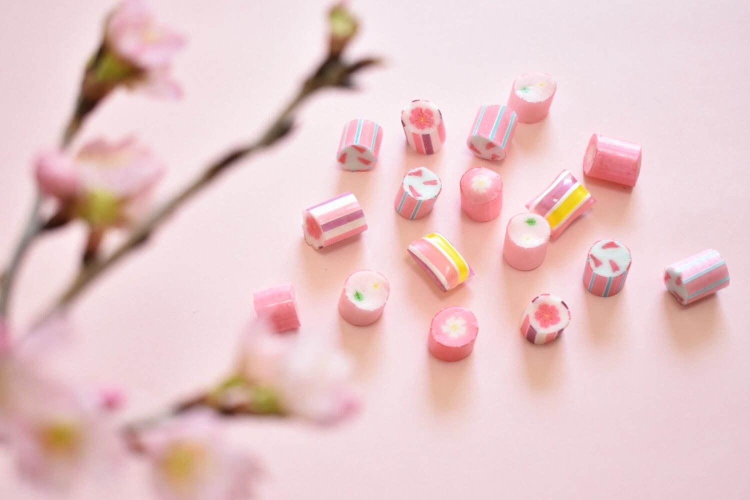 パパブブレのさくらキャンディミックス“満開のサクラ＆葉桜”柄、さくらミルクや紅茶味で｜写真9