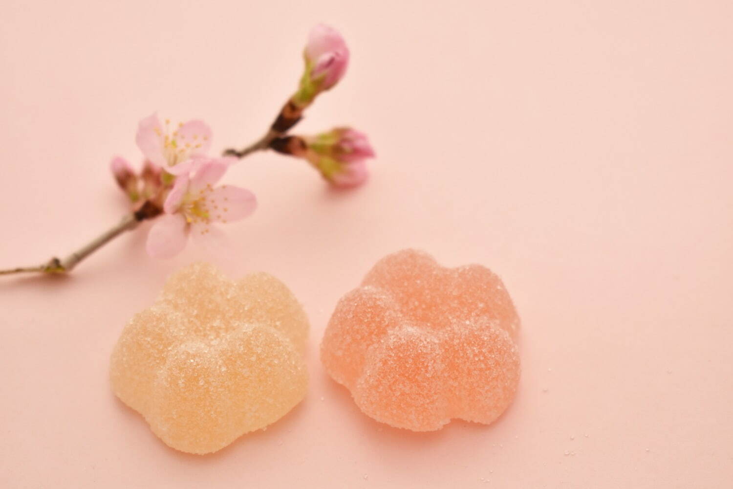 パパブブレのさくらキャンディミックス“満開のサクラ＆葉桜”柄、さくらミルクや紅茶味で｜写真10