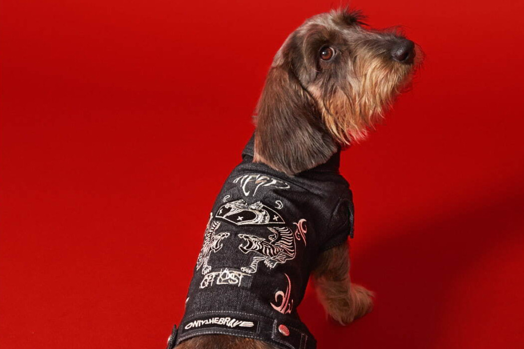 ディーゼル“初”ドッグウェア、パッチワーク付きデニムジャケットやカモフラージュ柄スウェット