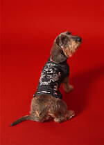 ディーゼル“初”ドッグウェア、パッチワーク付きデニムジャケットやカモフラージュ柄スウェット｜写真14