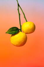 ルイ・ヴィトン(LOUIS VUITTON) オン ザ ビーチ｜写真4