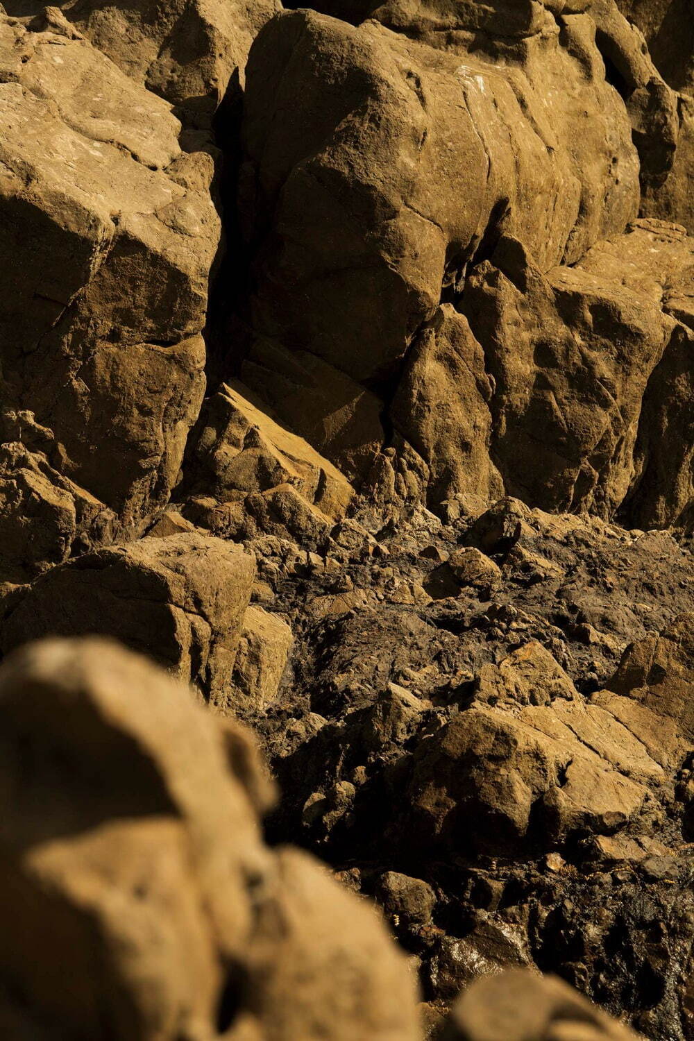 マスターピース(master-piece) 2021年春夏メンズコレクション  - 写真27