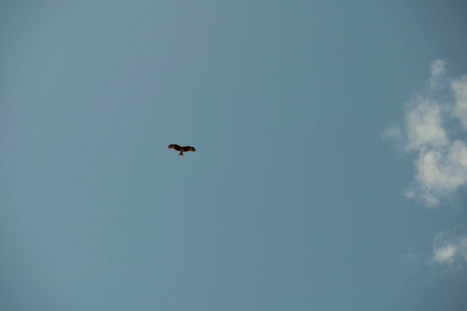 マスターピース(master-piece) 2021年春夏メンズコレクション  - 写真40